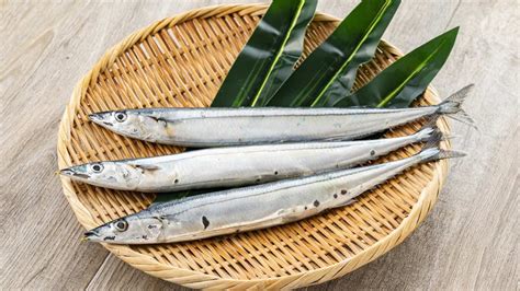 Sanma .